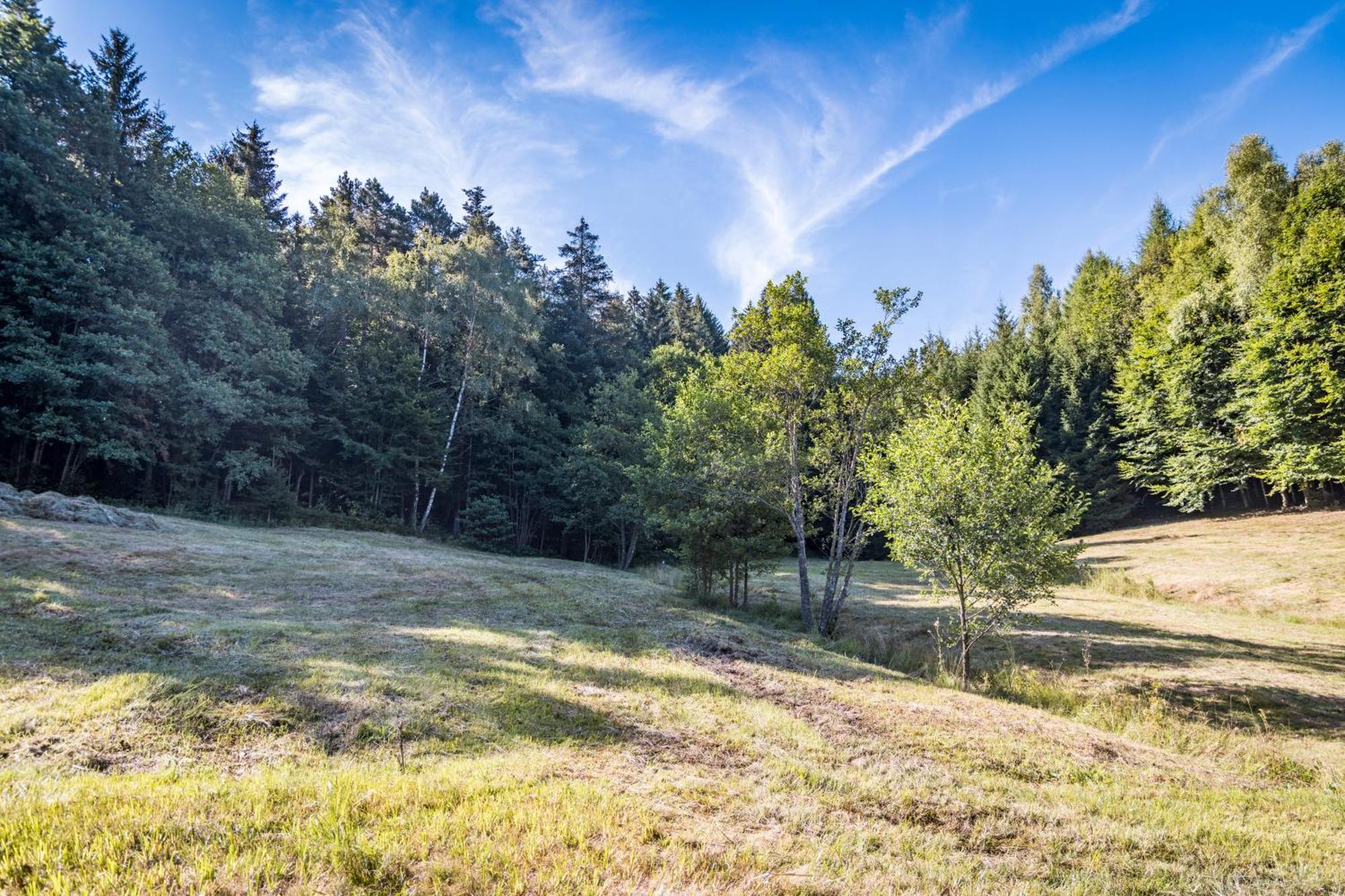 Pension Leithenwald Zwiesel Buitenkant foto